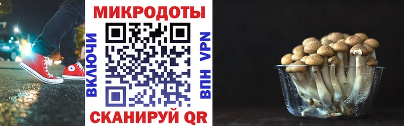 Псилоцибиновые грибы Psilocybine cubensis  хочу наркоту  mega вход  Ардатов 
