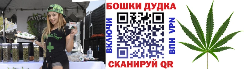 Канабис планчик купить наркотик KRAKEN как зайти Ардатов